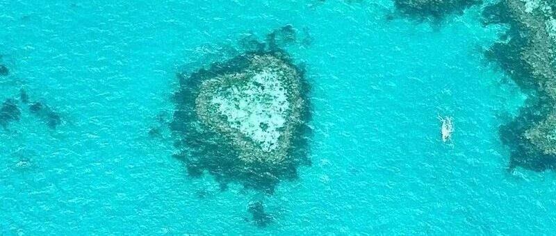 电子签海岛！藏着全球最干净的沙滩，与鲨鱼、鳐鱼、海龟共舞！