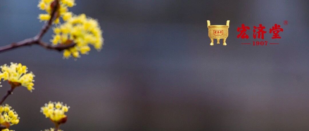 健康科普 | 春天早上起来嘴巴发苦是什么原因？