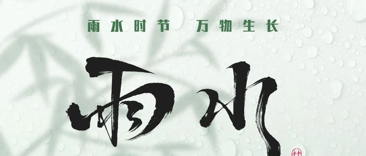 雨水 | 春雨起，万物醒