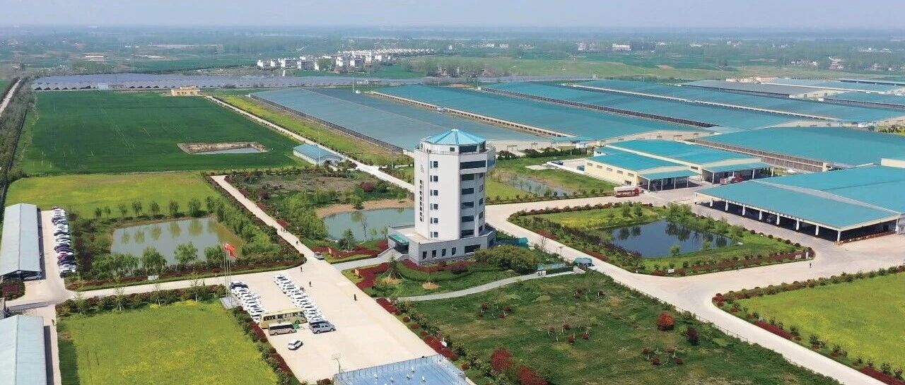 国家级绿色工厂，再添6家！