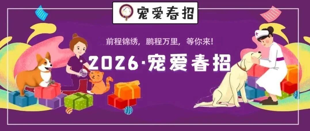 “马”力全开赴新程，一纪同心耀新星，宠爱2026春季校招正式开启！