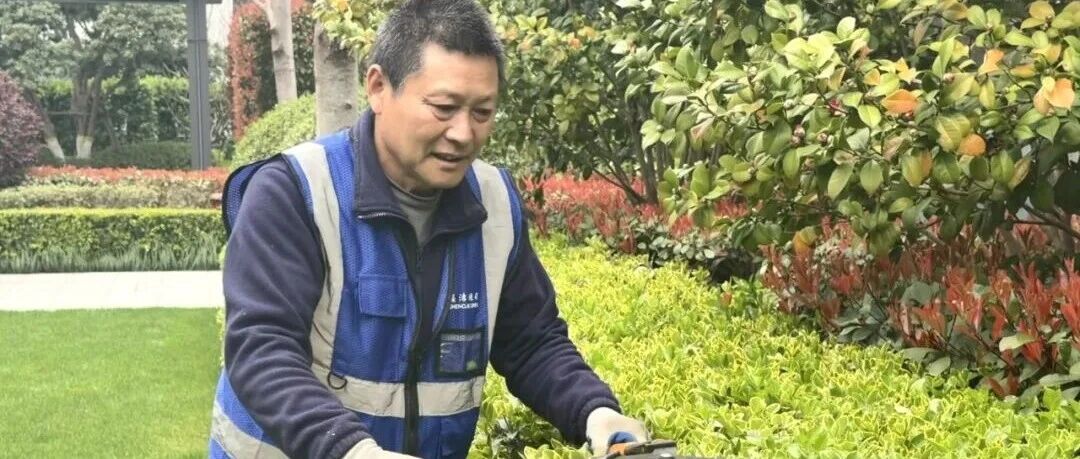 揭秘!社区的春天模式,靠这招“焕颜术”提前上线