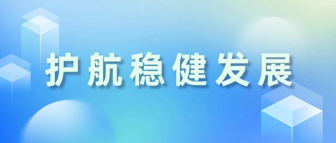 护航稳健发展丨岚图举办上市公司规范运作专题培训