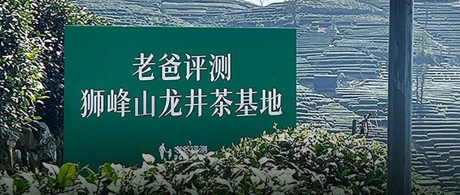 一招教你避开99%假龙井！