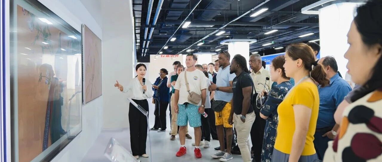 九国“一带一路”国际民间友好组织代表走进长虹 沉浸式感受长虹科技创新魅力