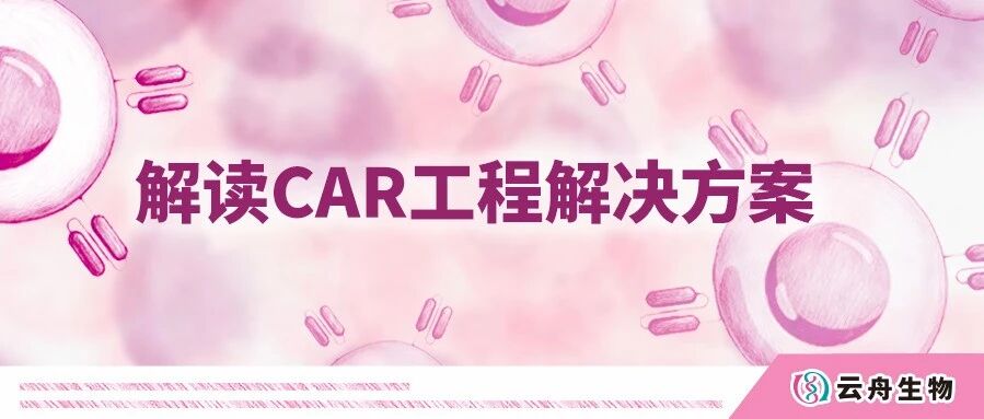 一文看懂CAR免疫治疗：技术演进、递送策略与优化方向全拆解
