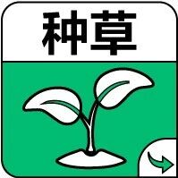 湿热到爆的三伏天，强烈建议你把奶茶换成它！