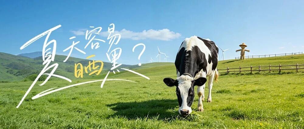 夏天喝牛奶会变白？
