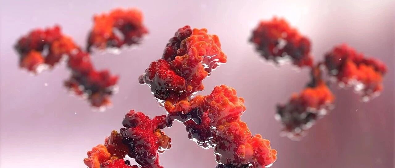 迈威生物阿达木单抗纳入 2026 年版国家基本药物目录