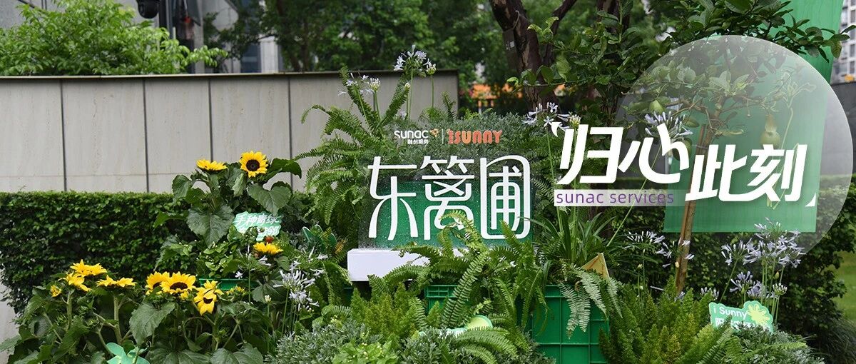 iSunny社造 | 让热爱在"阳光农场"中发生