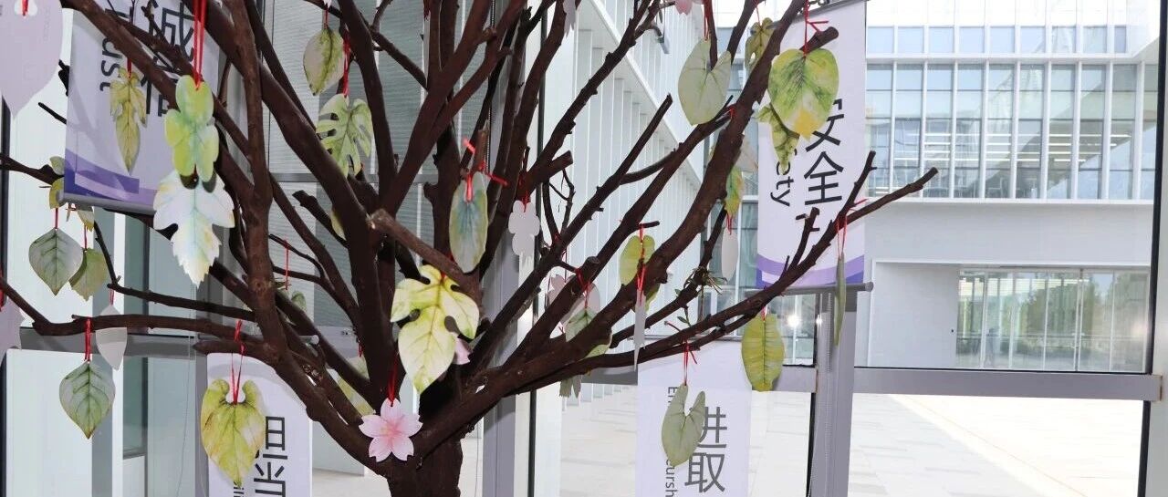 点滴认可，汇聚成光｜BAESL首次感恩活动回顾