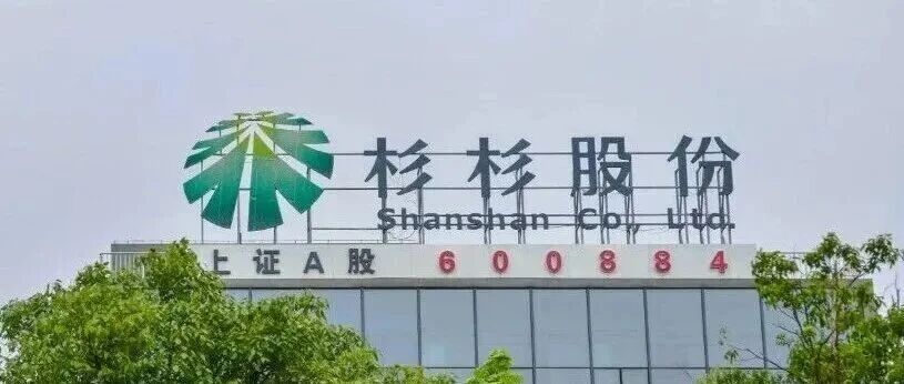 杉杉股份召开干部大会 深耕主业、攻坚克难 奋力开创高质量发展崭新局面
