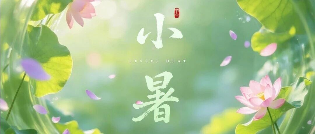 蝉鸣启盛夏，荷风送清凉