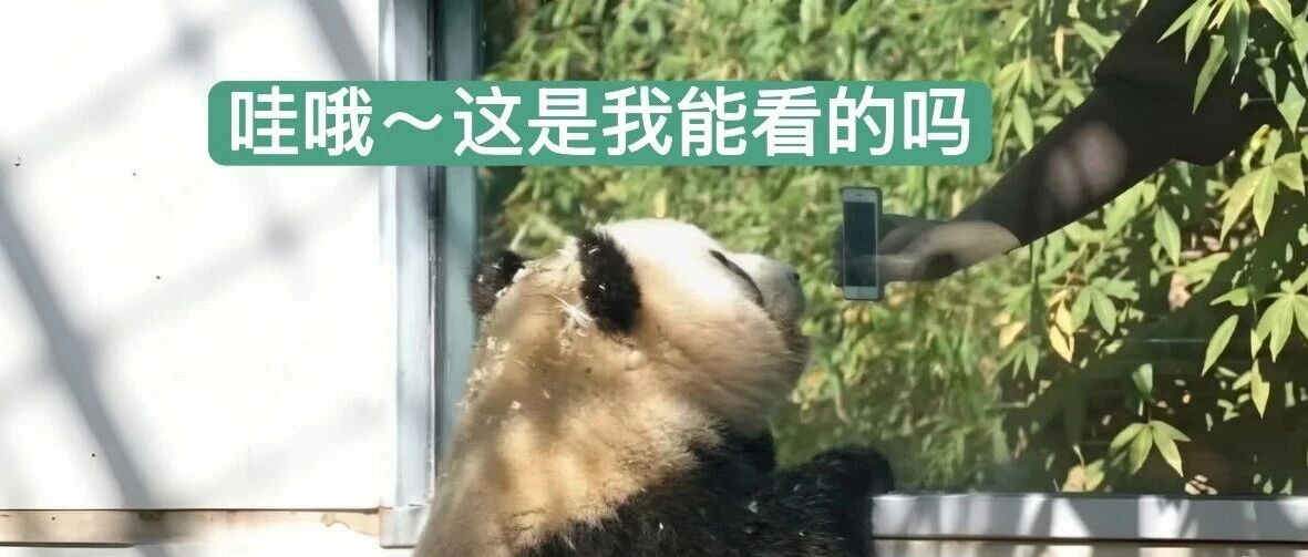 985大学暗藏玄机，211藏满“尸体”，网友：上学都不敢随便跺脚啊哈哈哈