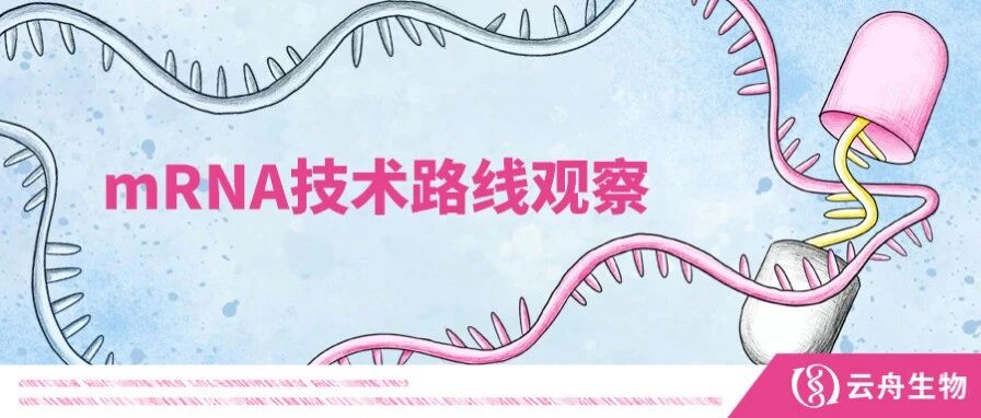Moderna连拿两个里程碑，mRNA下一步瞄准哪些方向？