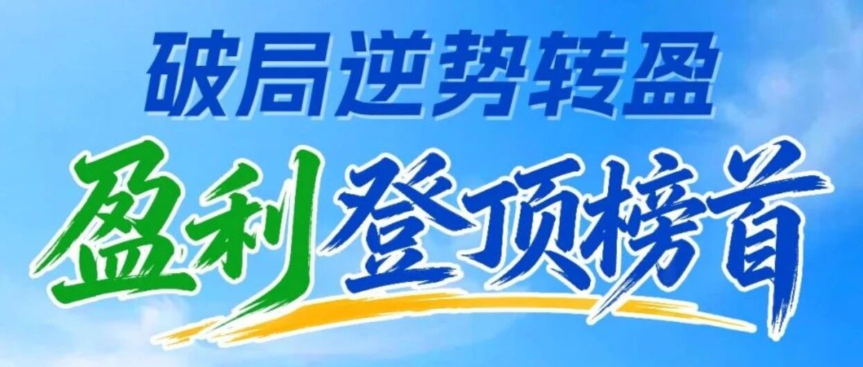 破局逆势转盈 盈利登顶榜首