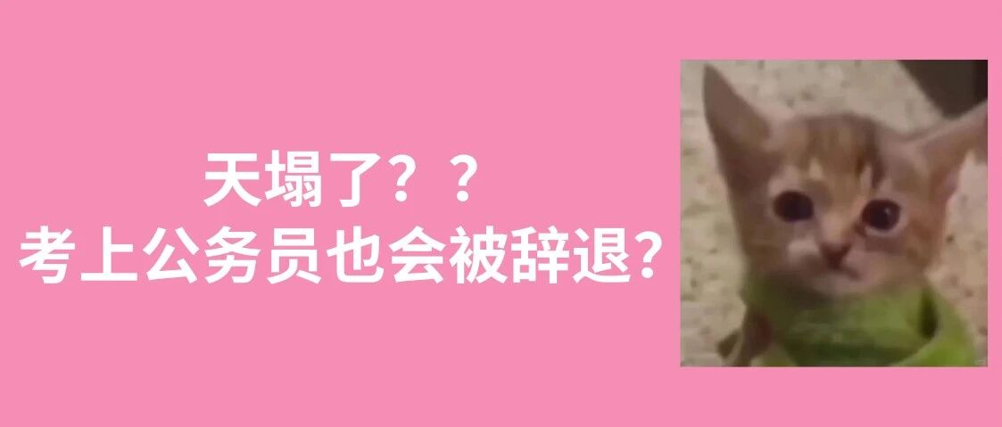 以为考上公务员就稳了？试用期转正这关还得过！