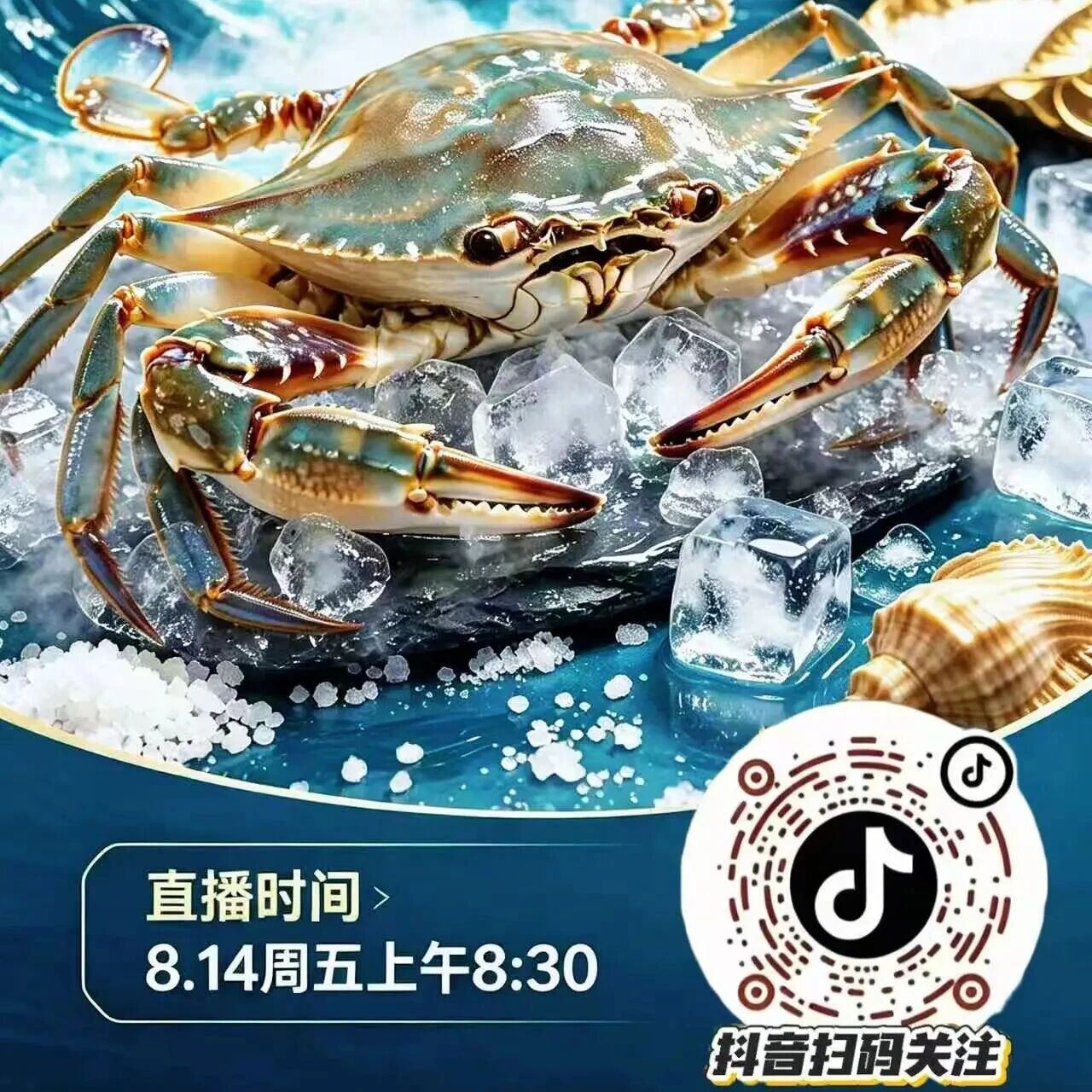 预告：开海第一波——鲜美梭子蟹