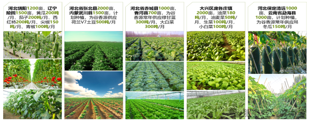 d72285559df586c7bbe851b793e173f8.png