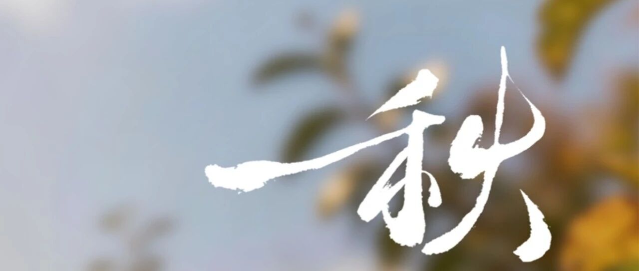 秋分 | 暑意渐退，清风送爽