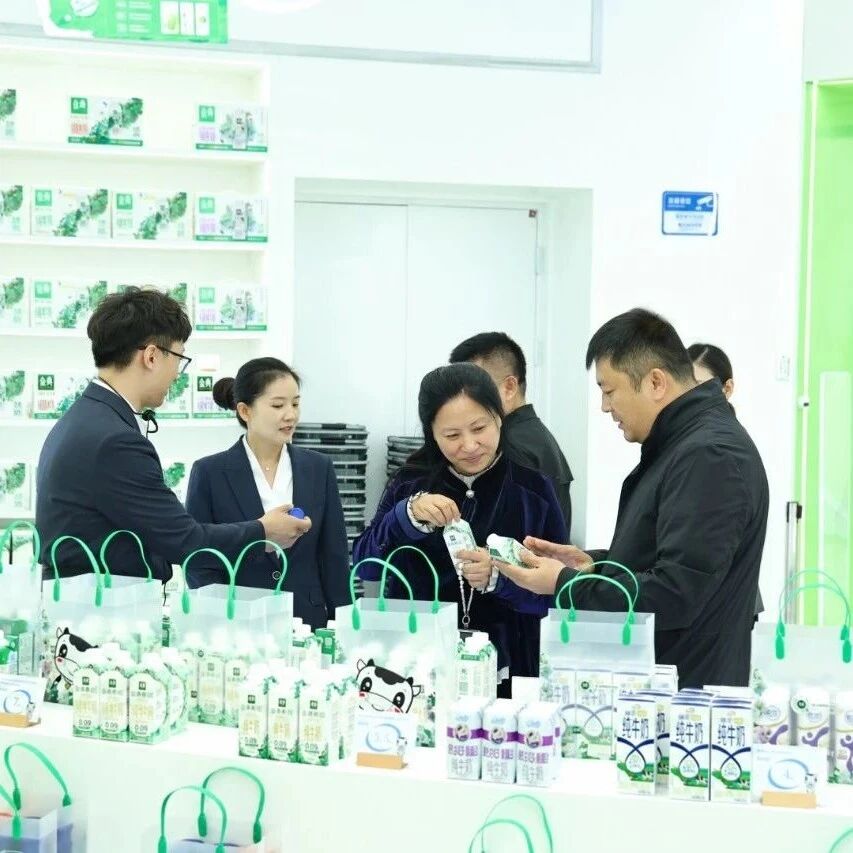 品牌中国行·跟着伊利去旅行：解码“世界乳都”品牌底气