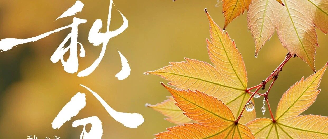 秋分：愿所有奔赴 都恰逢秋日晴朗