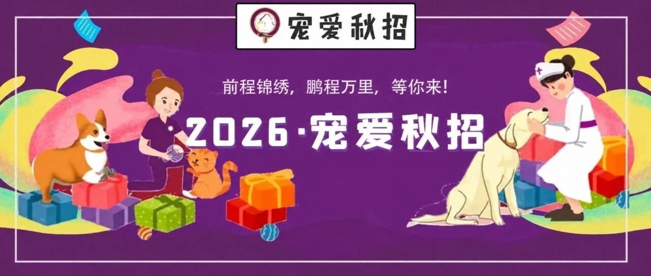 让理想照见远方，让热爱落地生长｜宠爱国际2026秋季校招正式开启！