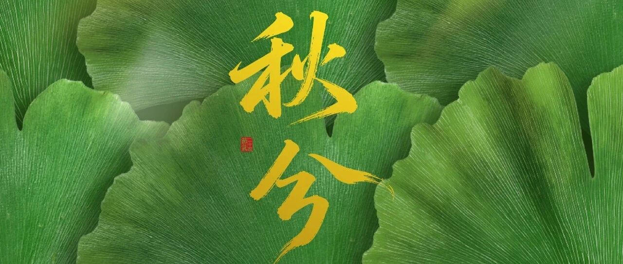 一叶知秋意，一平分秋色