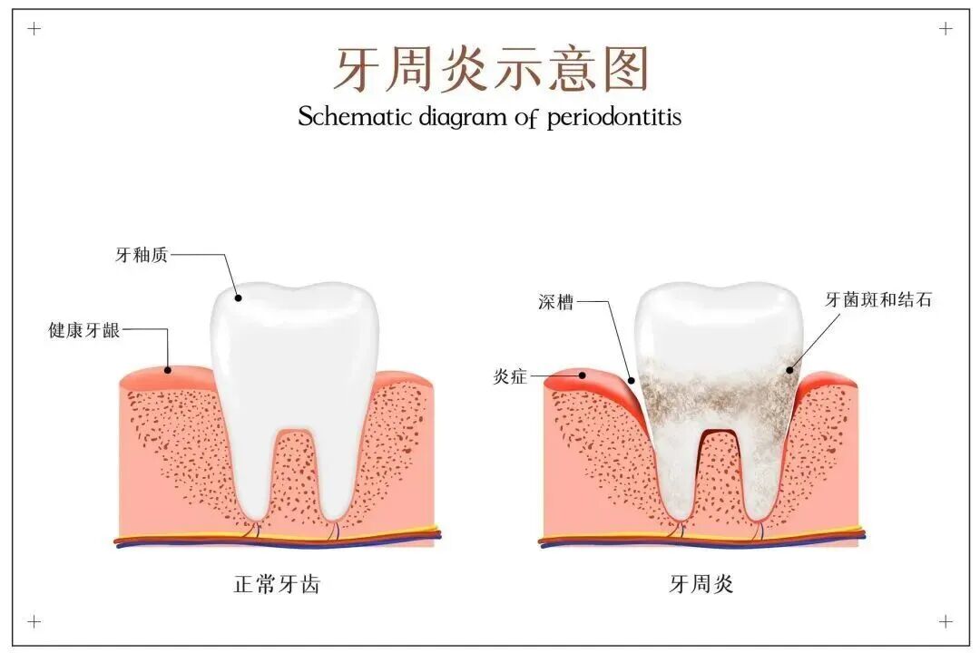 1EE50FC5-EB30-4EA7-9CD2-D55C0E0EB360(1).jpg