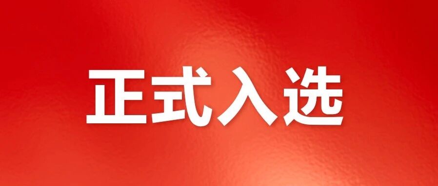 微步入选CNNVD人工智能安全漏洞治理联盟成员单位，并获漏洞一级贡献奖