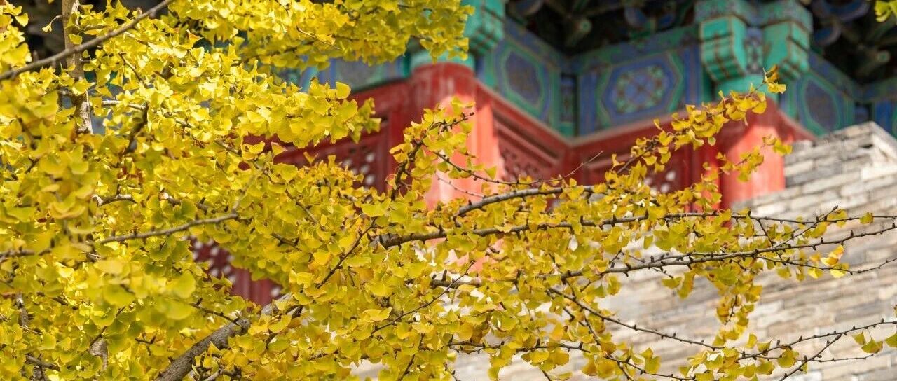 秋分|昼夜均分，静享清秋