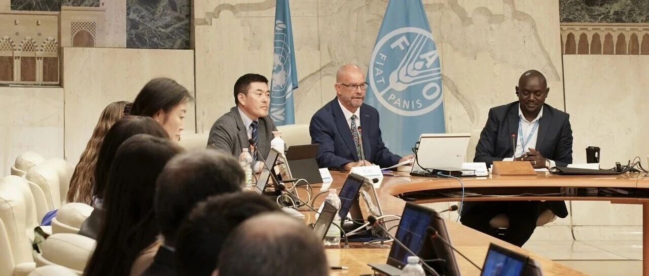 5.5万亩沙漠如何变成绿洲？伊利在联合国分享答案