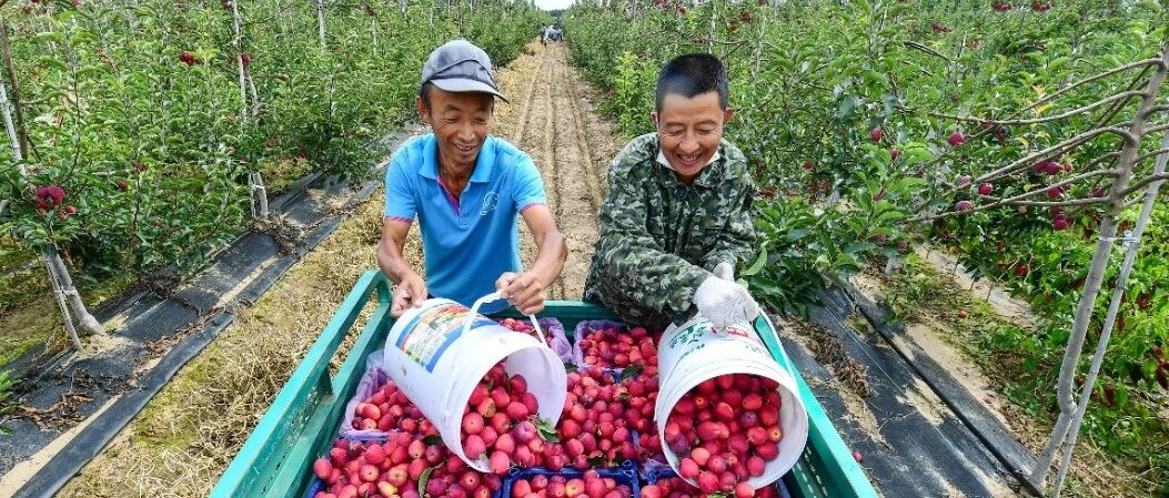 【帮扶走一线】在这片希望的田野上——通辽市2026年常态化帮扶赋能乡村振兴纪实
