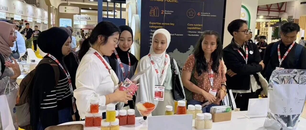 FIA风采｜以活力赴约，以专业收官